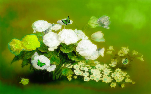 749804 (a): :1920x1200